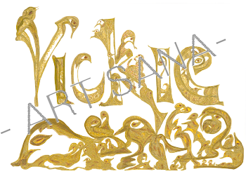 WALL ART - VICKIE OF THE LIGHT BIRDS - YELLOW  -  (Hand-Drawn - Original)
